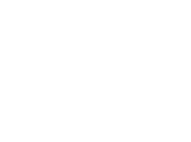 Mondiale Racing